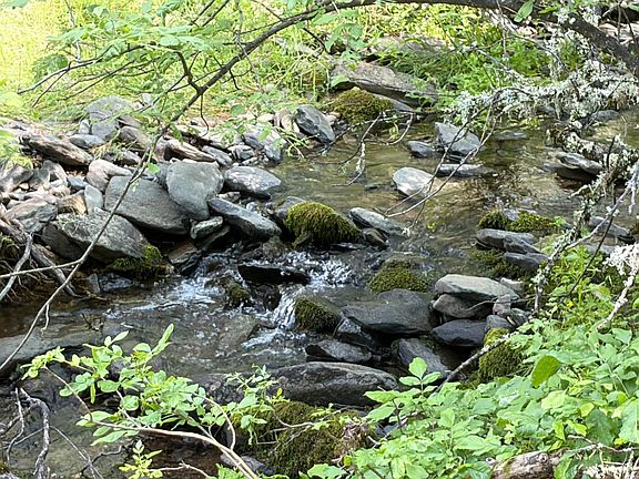 4th image of Spring Valley Rd