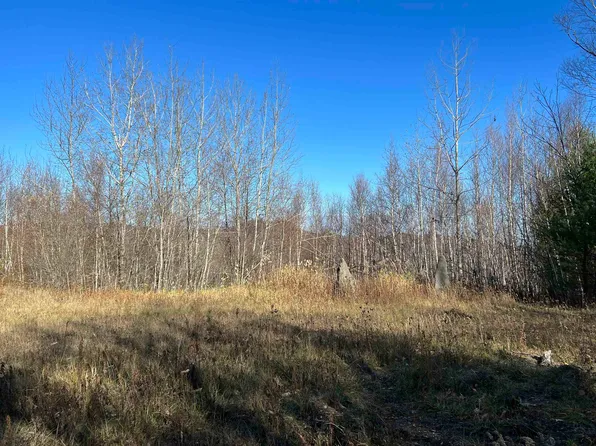 1700 North Puckerbrush Road, Reading, VT 05062