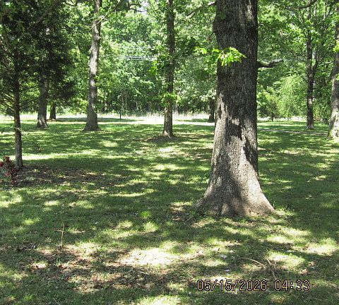3rd image of 13270 Harmony Church Rd
