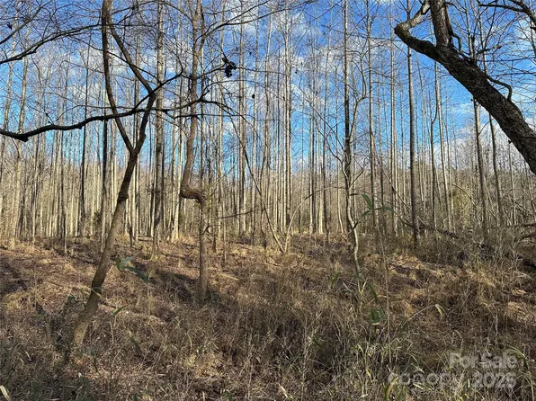 0 State Highway 182 Rd #4, Crouse, NC 28033