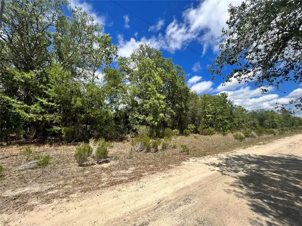 NE 67th Ln Lot 29, Bronson, FL 32621