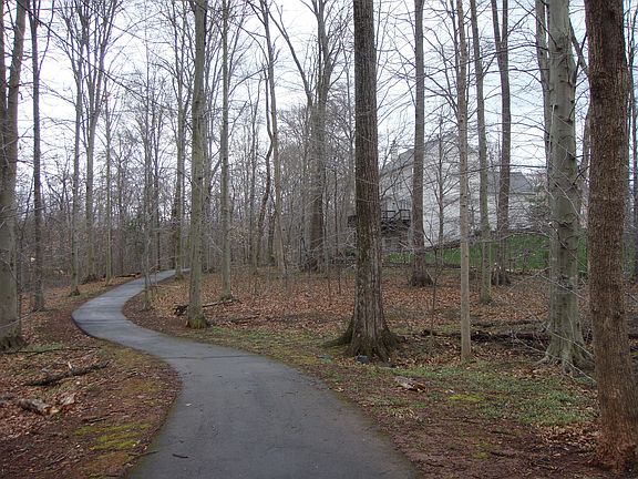 Path near backyard