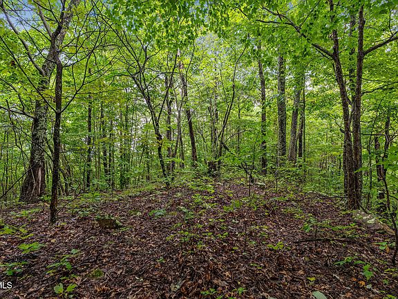 84th image of this home