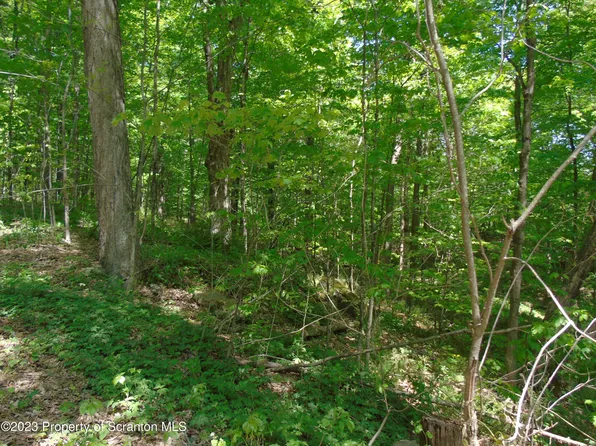 Brookside Turnersville Rd, Gouldsboro, PA 18424
