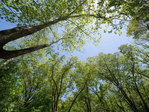 Savidge Cir #15, Bella Vista, AR 72715