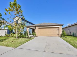 12738 Lemon Pepper Dr, Riverview, FL 33578