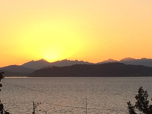 Summer view