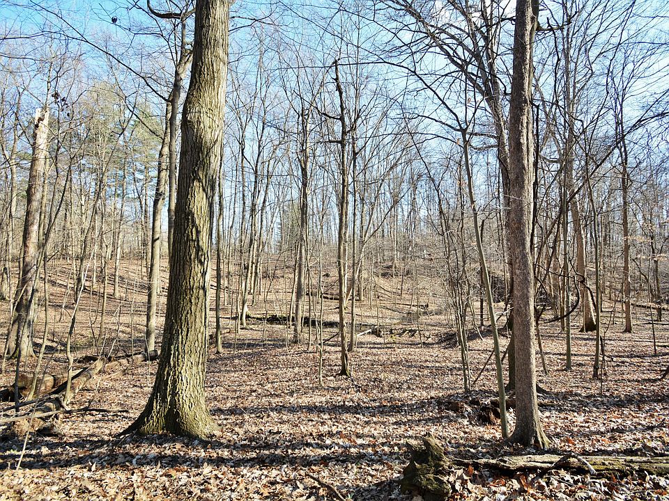 2nd image of 4971-1 Township Road 191