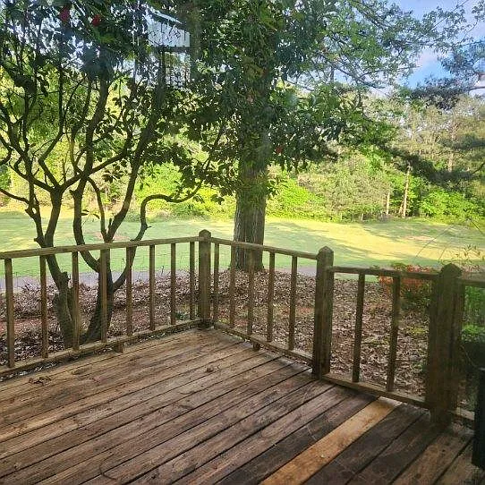 Deck View