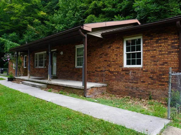 245 Red Ash Ave, Iaeger, WV 24844