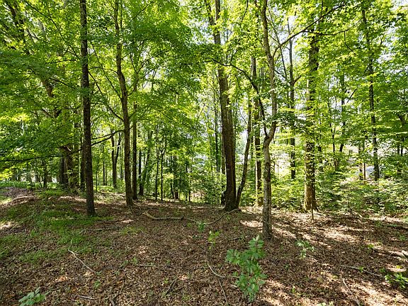 4th image of 0 E Rockcrest Cir Lot 42