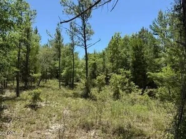 Orange Hill Rd, Chipley, FL 32428