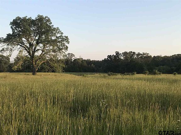 4th image of 12806 County Road 4336