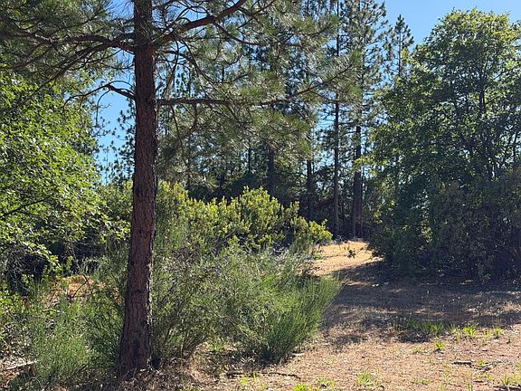 3rd image of 1871 Iowa Hill Rd
