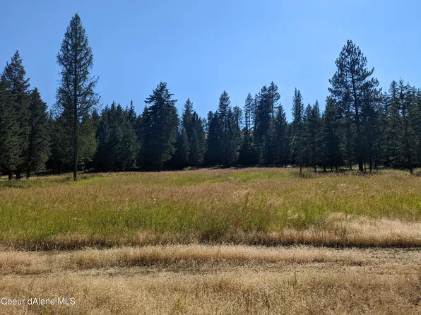 4 Mohawk Dr #Phase 1, Athol, ID 83801