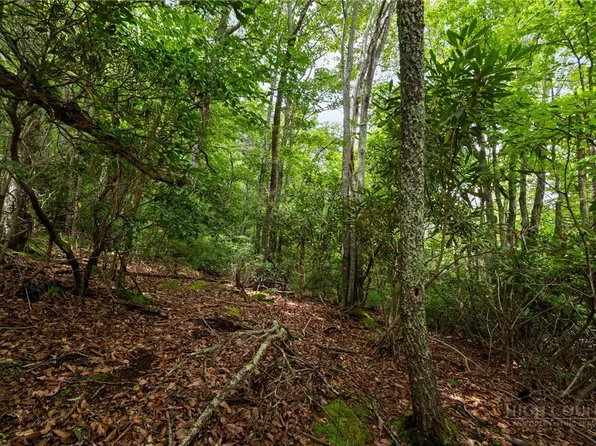 Lot 2 Heavenly Mountain Drive, Boone, NC 28607