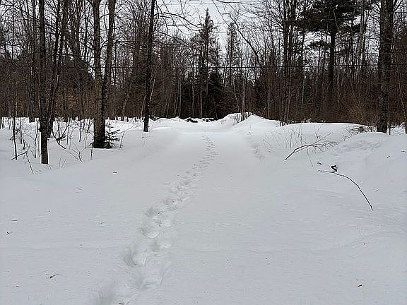 2nd image of 716 Cemetary Rd