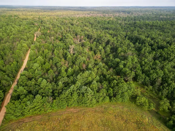 S Barberry Ave, Newaygo, MI 49337