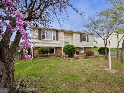 1306 E Beech Rd, Sterling, VA, 20164