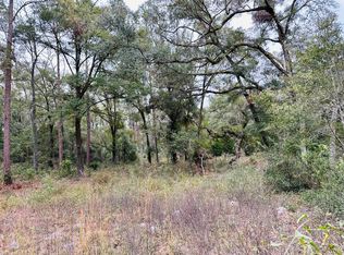 485 NE 596th Ave, Old Town, FL 32680