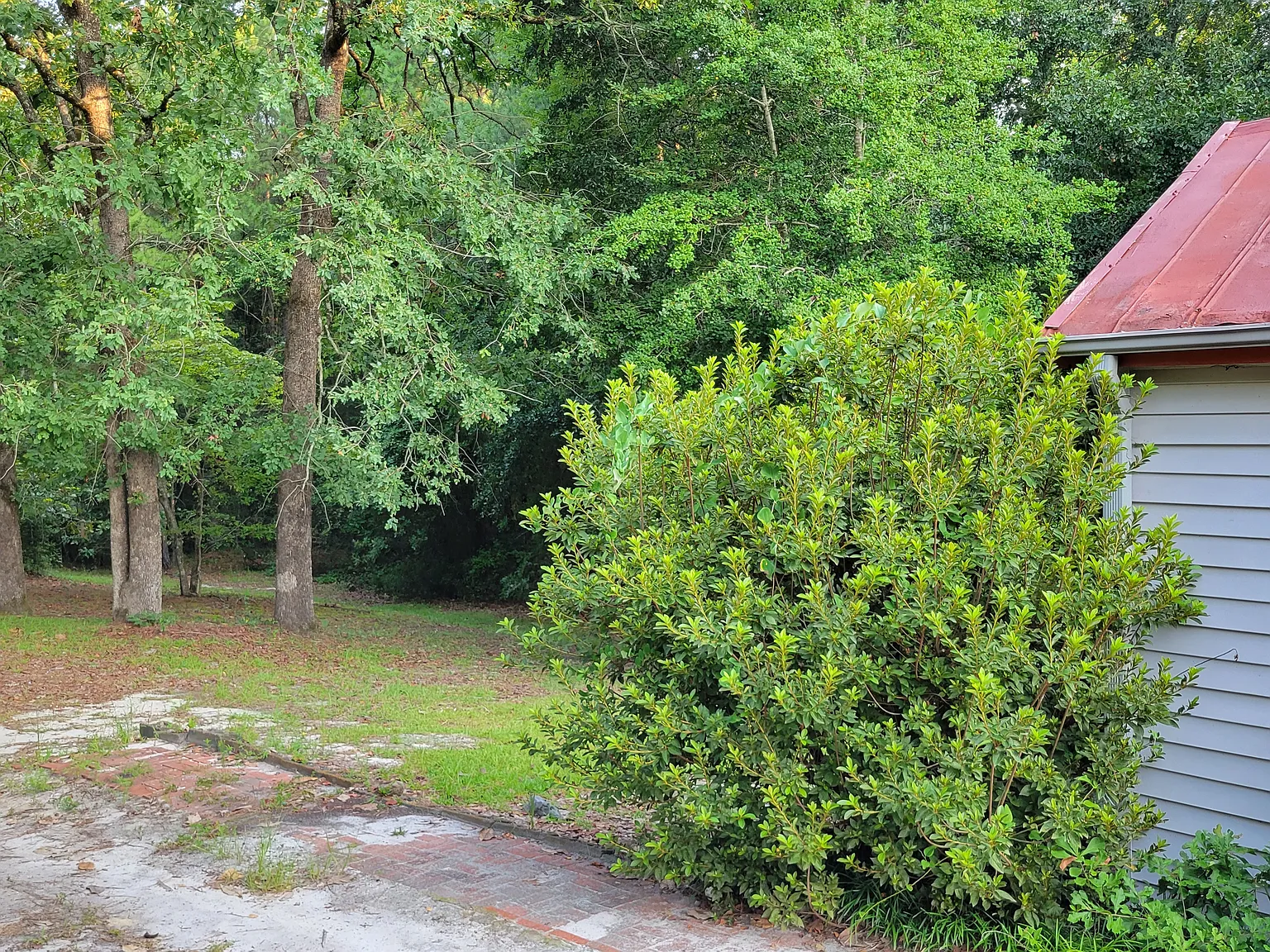 1 bed, 900 sqft, $900 — Photo 3
