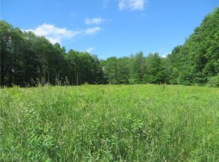 Vl Riverdale Rd, Rock Creek, OH 44084