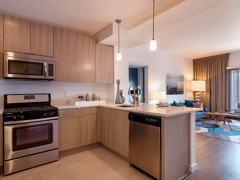 Kitchen and Living Room with Hard Surface Flooring