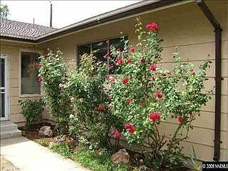 1st image of 625 Lenwood Dr