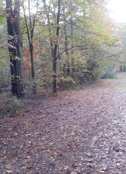 2nd image of 1676 Old Kings Bridge Rd