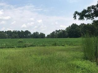 4043 Kirkland Rd, Graceville, FL 32440