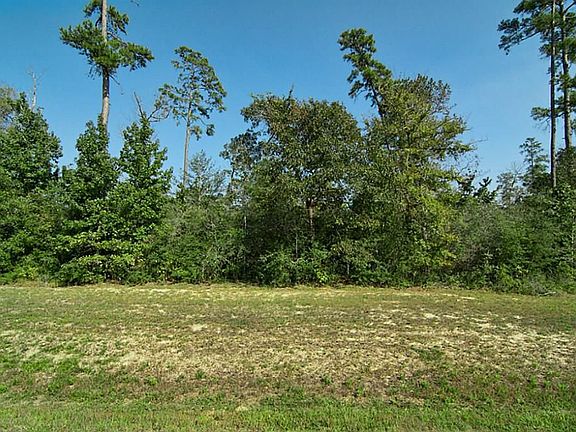 This is looking at the property from King Edward