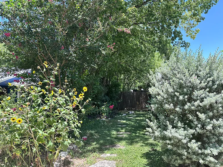 5207 Greenheart Dr — Photo 5