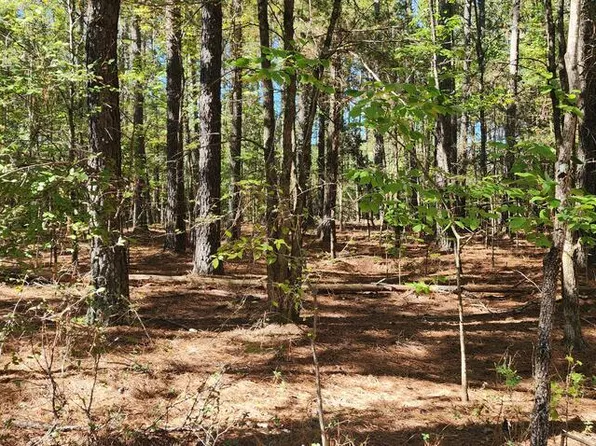 0 Zig Zag Rd, Big Sandy, TN 38221
