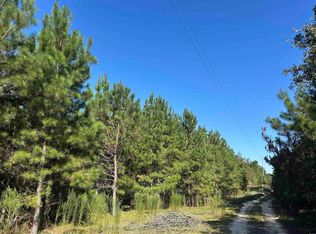 Oakland Rd, Hamer, SC 29547