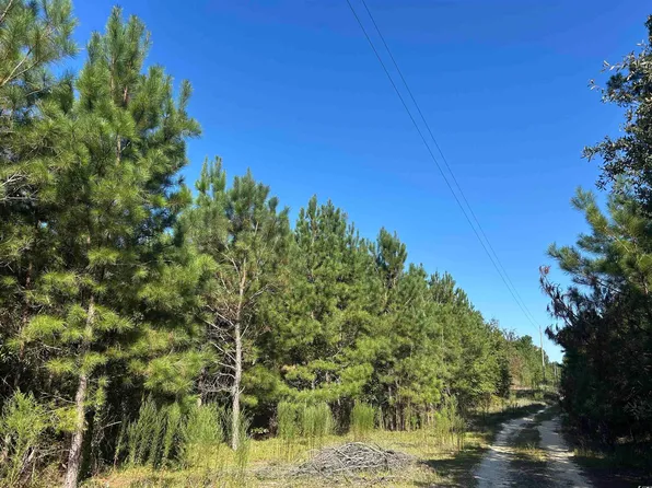 TBD Oakland Rd., Hamer, SC 29547