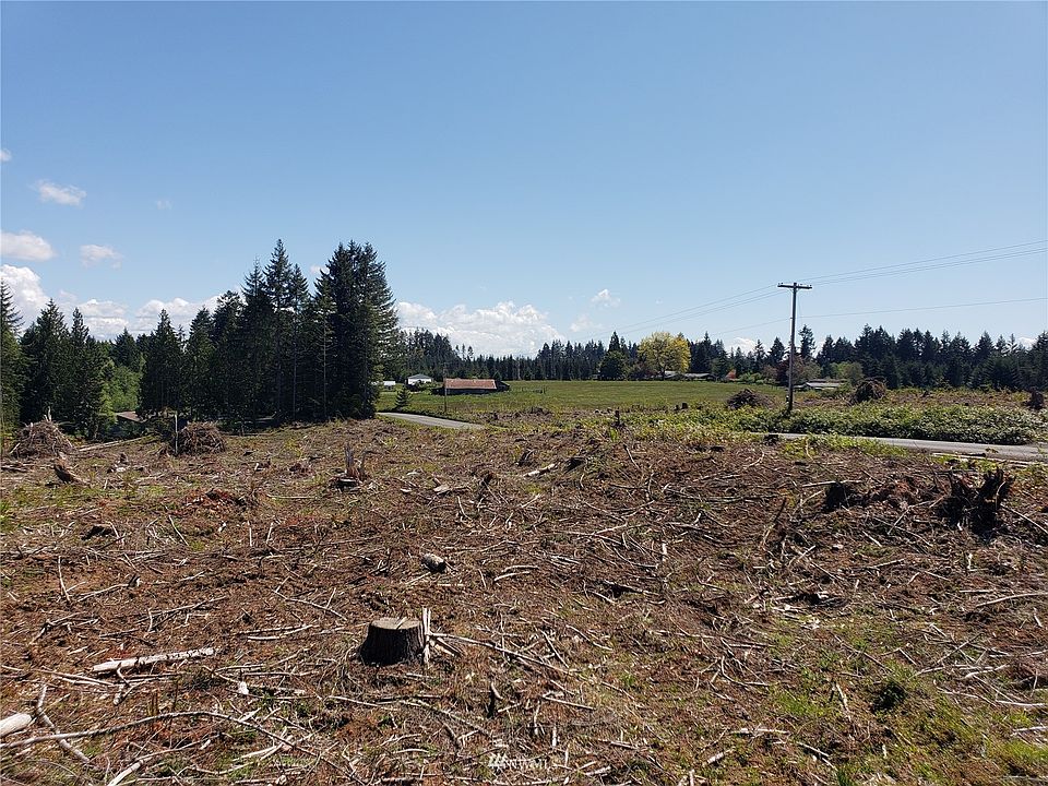 0 Brown Road E, Adna, WA 98522 Zillow