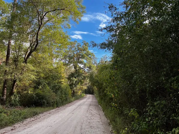 168th St, Wellborn, FL 32094