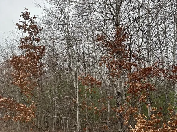 Swamp Creek Rd #4069-4, Tomahawk, WI 54487