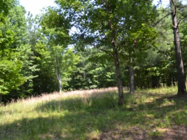 0 Topside Dr Lot 50, Spencer, TN 38585