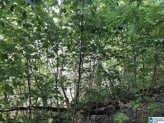 5th image of Lots 18 19 Lakeland Hills Dr #18