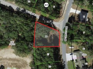 2939 W Camilo Dr, Citrus Springs, FL 34434