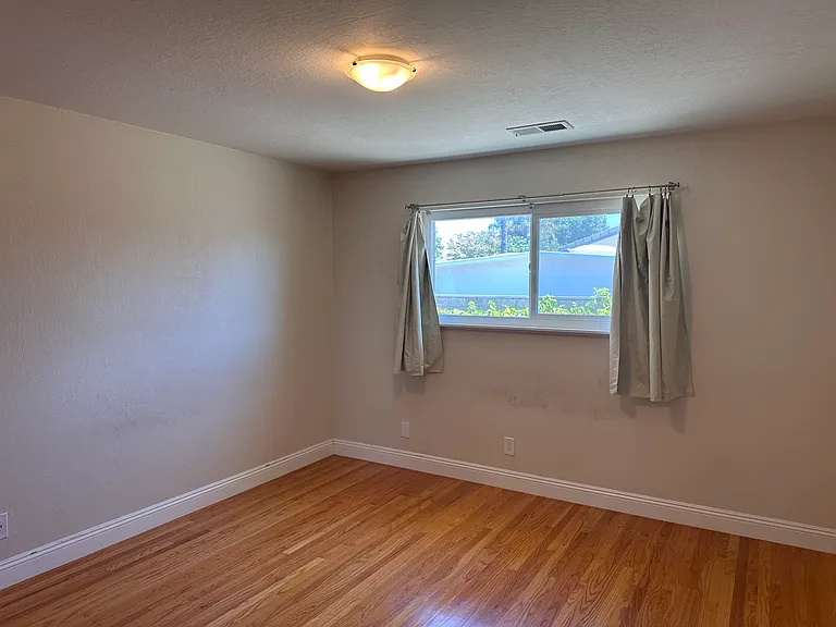2913 Daisy Ct — Photo 10