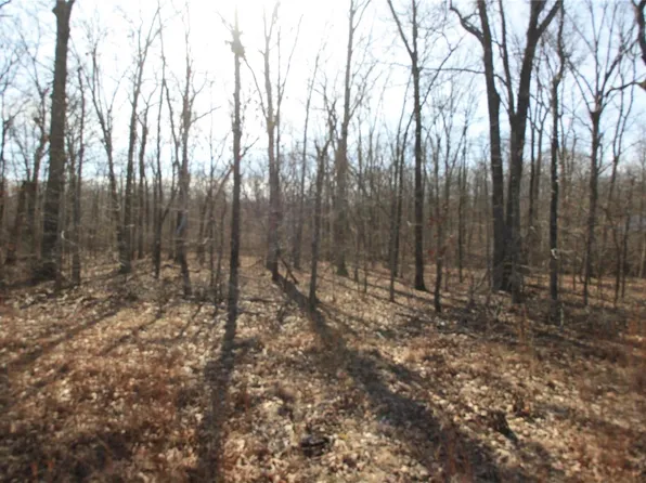 LOT One Holiday Hls, Wappapello, MO 63966