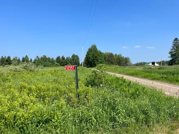 12357 Grangruth Rd, Floodwood, MN 55736