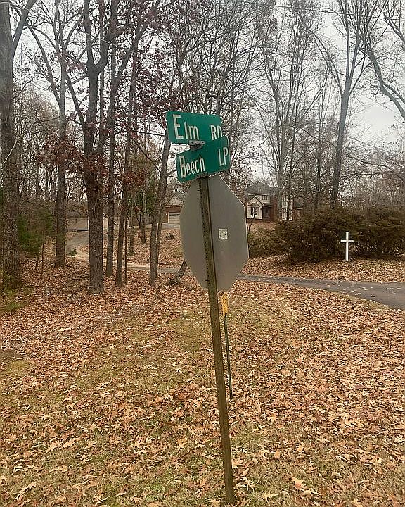 2nd image of 0 Beech Loop