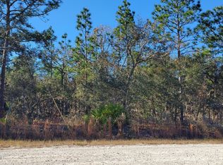 16297 Little Auk Rd, Weeki Wachee, FL 34614