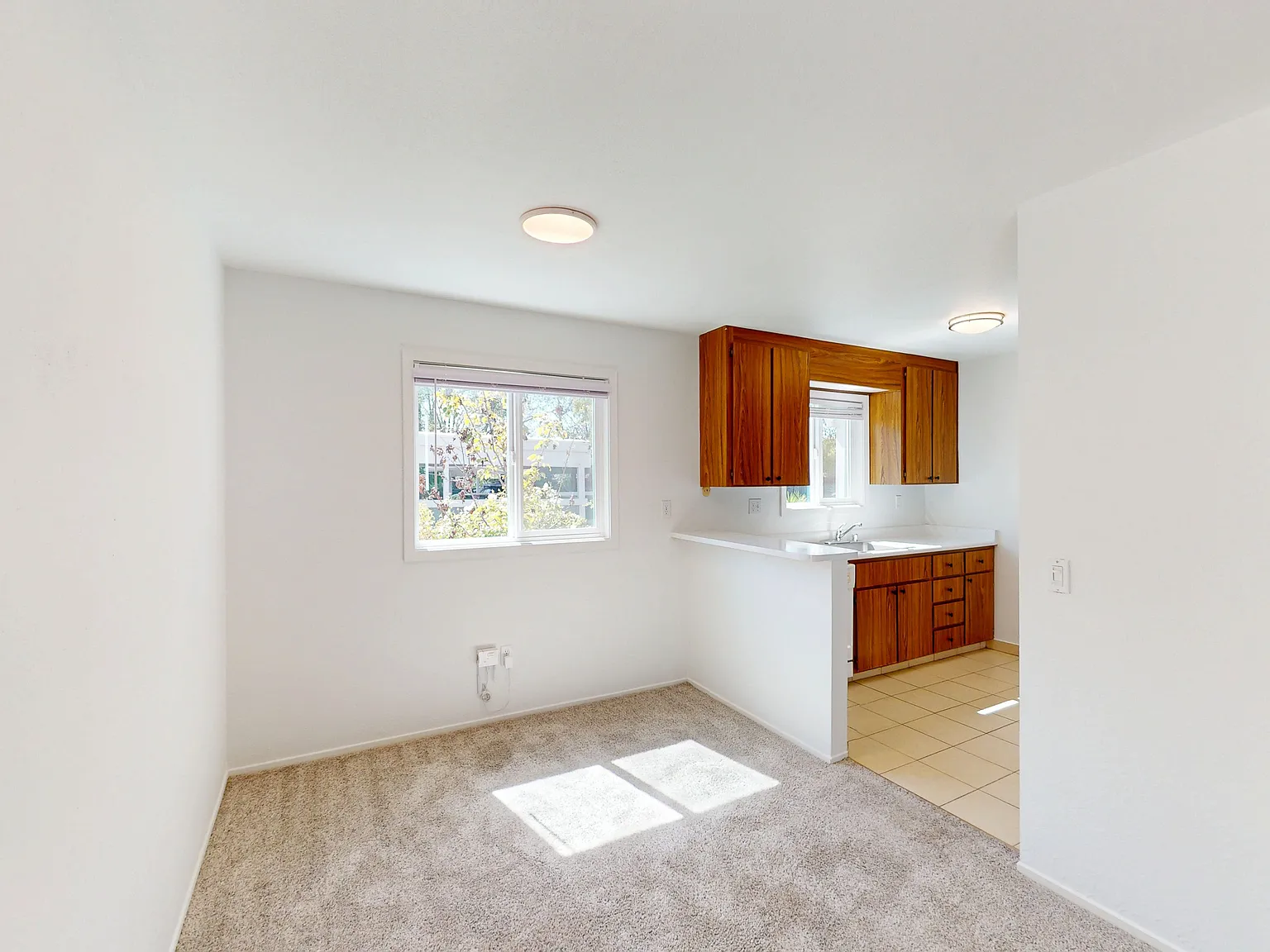 356 Robinson St — Photo 4
