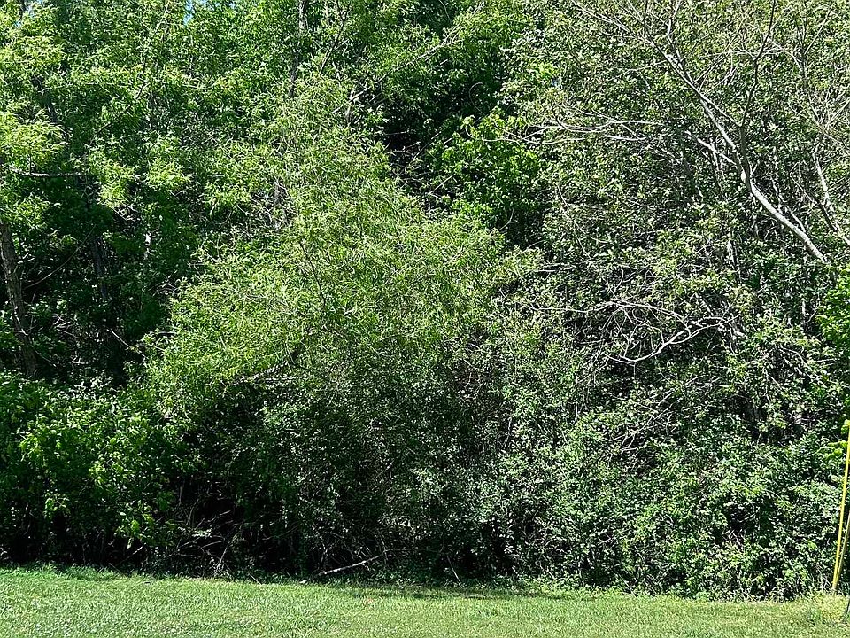 2nd image of 0 Meadows Ln #16