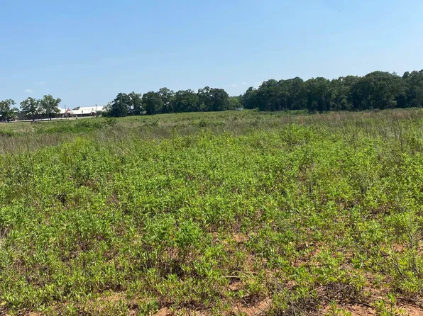 0 Preacher Barfoot Rd, Andalusia, AL 36421