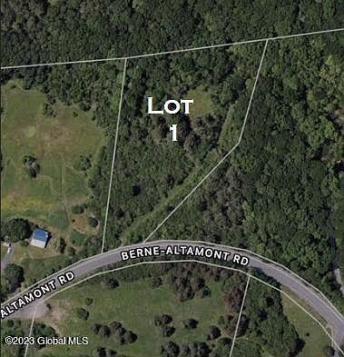 1st image of L48 Berne-Altamont Road